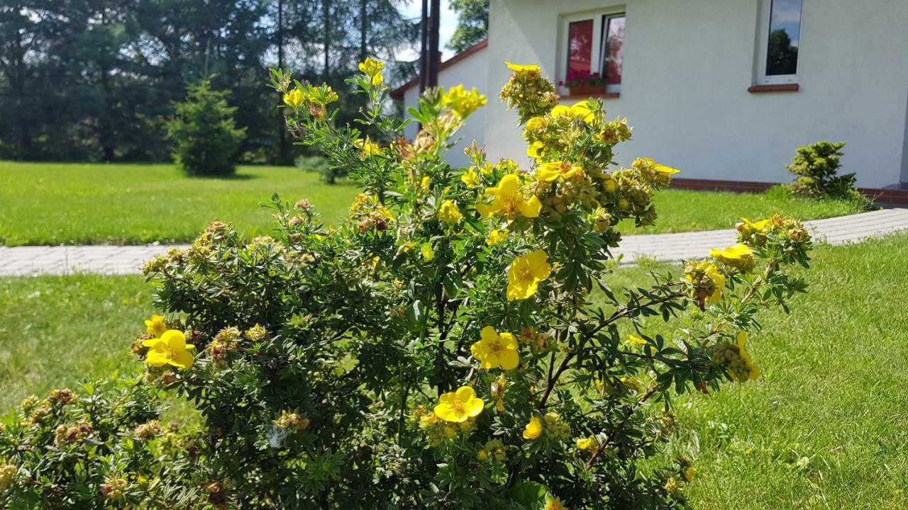 Apartamento Gosciniec Mazurek Giżycko Exterior foto